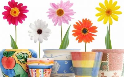 Decoración de macetas de bricolaje - 8 ideas