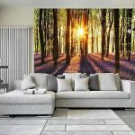 Amanecer en el bosque