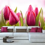 Yemas de tulipán