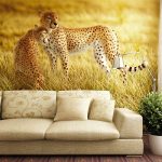 Leopardos