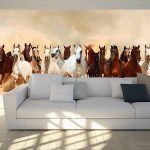 Manada de caballos