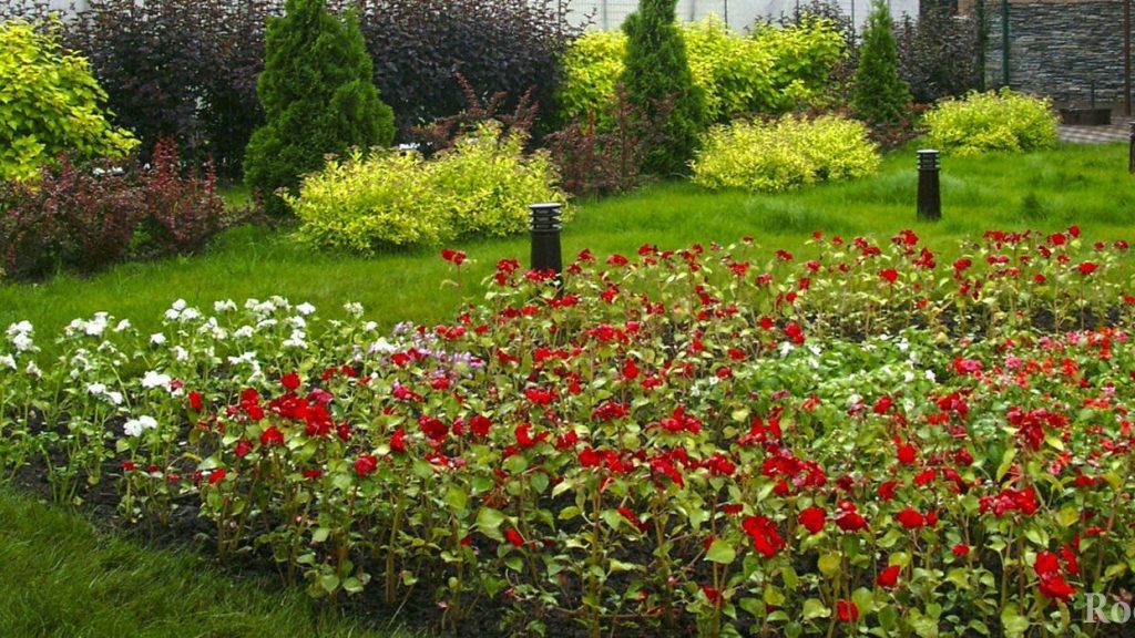 Jardineria de la dacha estacional