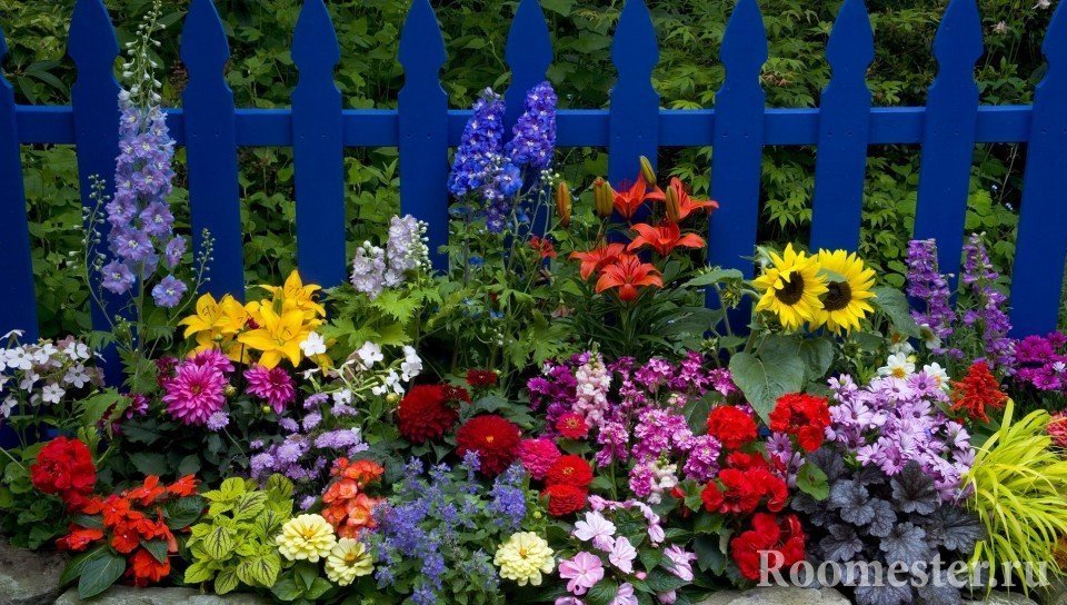 Brillant llit de flors a la tanca