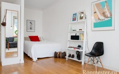 Opciones de diseño para un apartamento de una habitación con un nicho: las soluciones de diseño más exitosas