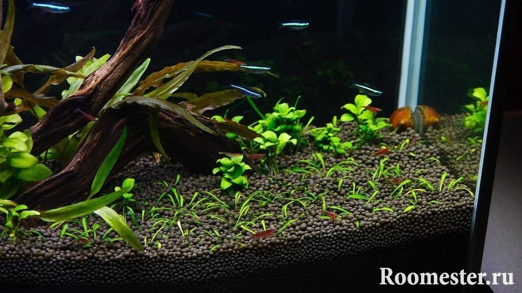 Decoración del acuario del suelo