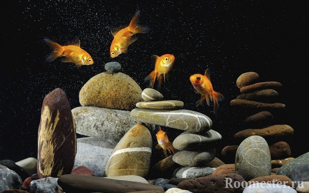 Decoración del acuario con piedras