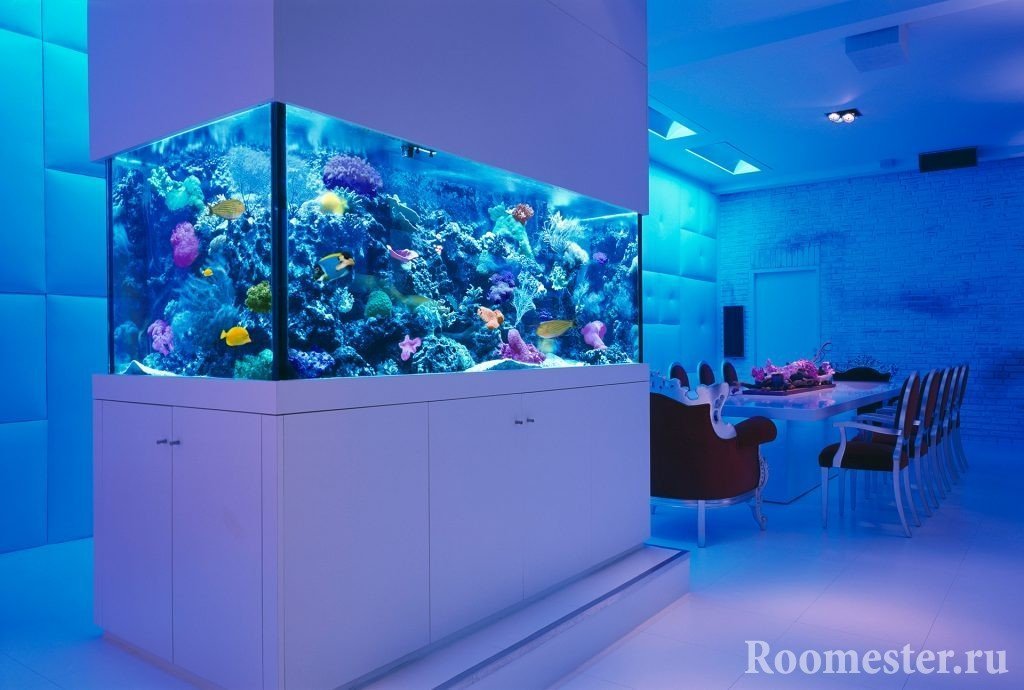 Acuario marino con corales de arrecife vivos