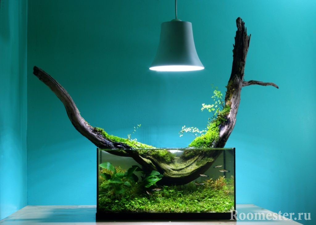 Driftwood - decoración para el acuario