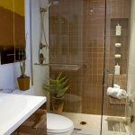 Baño combinado