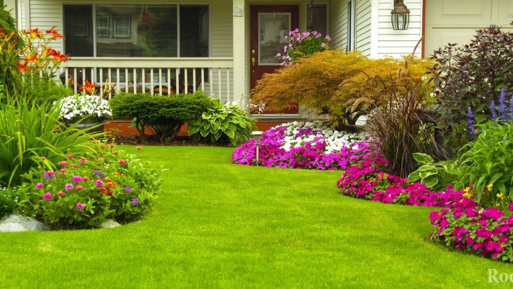 Flors brillants sobre un terreny personal
