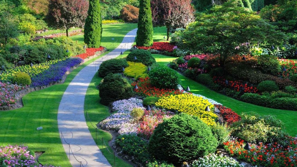 Plantes brillants i pista
