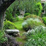 Arboles y flores