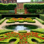 Jardín con flores de colores