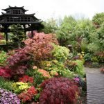 Mirador interesante en el jardín