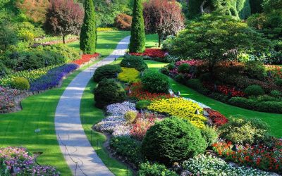Diseño de jardines: elija el estilo y el diseño