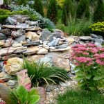Deslizarse de piedras con plantas