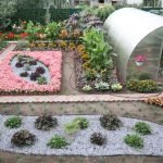 Macizos de flores brillantes