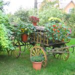 Carro de flores
