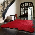 Alfombra inusual en el pasillo