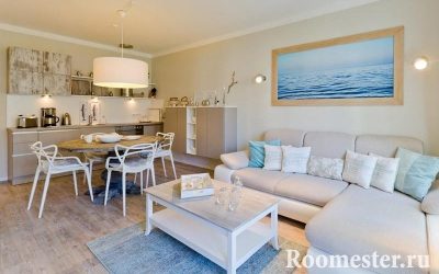 Diseño cocina-sala de estar 25 m2 - ideas y soluciones