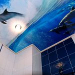 Delfines en el techo