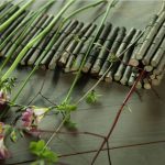 Flores y ramas
