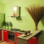 Interior de cocina rojo pistacho