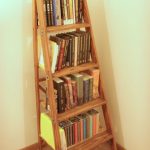 Libros en un estante