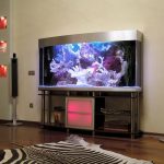 Acuario en la mesita de noche