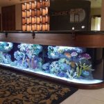 Barra de bar con acuario