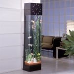 Relojes con acuario