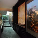 Acuario en la cocina