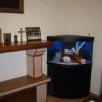 Estantes cerca del acuario