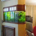 Acuario en la partición