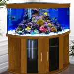Acuario en el pedestal
