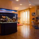 Acuario iluminado en la cocina.