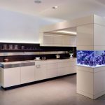 Acuario dividido en la cocina