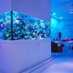 Comedor con acuario.