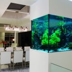 Partición con un acuario en el interior.