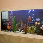 Pared con acuario