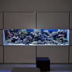 Hermoso acuario en el interior