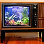 Tv acuario