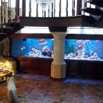 Acuario debajo de las escaleras