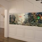 Acuario en la pared