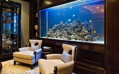 Acuario en el interior: ideas y opciones de alojamiento