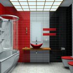 Baño con ducha