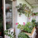 Flores en el balcón abierto