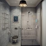 Ducha de cristal y WC