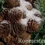Conos con nieve decorativa
