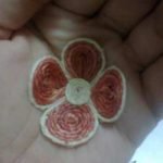 Flor lista